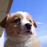 takuya (@dr_taku) 's Twitter Profile