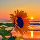 Terry Snider - @TerrySn98412101 - Twitter