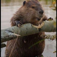 Jerry Matters (@jerrymathers20) 's Twitter Profile