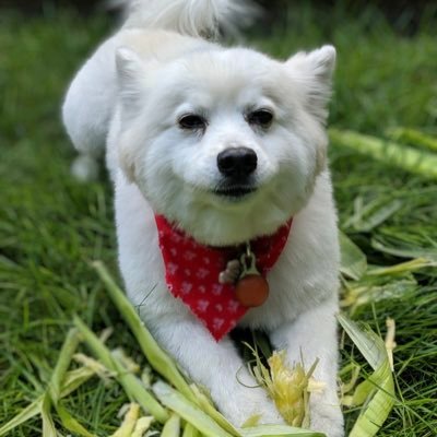 kissane_kelly's profile picture. I’m a person