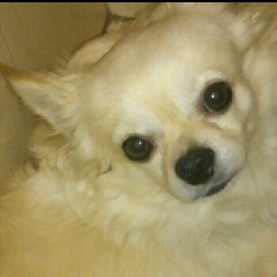 sasaki_2017's profile picture. 理系修士卒→研究職→監査法人勤務→？？　CPA　IPO、IFRS。理系の研究者や技術者がもっと報われる日本にしたいと思いキャリアを変えました！最新のテクノロジーやイノベーションやベンチャーに興味があります！最近は生成AIにはまってます。