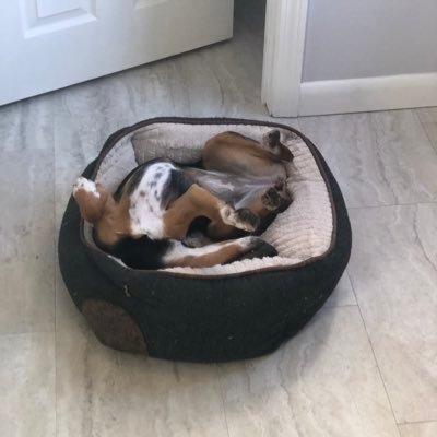 colllmemaybee's profile picture. Haters gonna hate 🐍🐍🐍