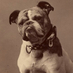 Cincinnati Yale Club (@cincyyaleclub) Twitter profile photo Cincinnati Yale Club (@cincyyaleclub) Twitter profile photo