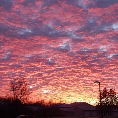 ecatt333's profile picture. Such a fine sunny day...