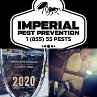 Imperial Pest (@imperialpest) 's Twitter Profile Photo Imperial Pest (@imperialpest) 's Twitter Profile Photo