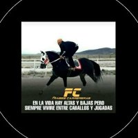 (CR12)Hipismo (@hipismocr12) 's Twitter Profile