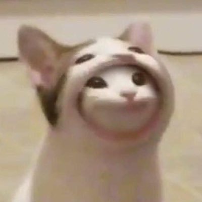 forestlemon67's profile picture. Psn: Forestlemon67