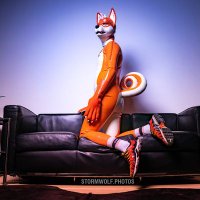 Matt The Shibe(@Pup_Matt) 's Twitter Profile Photo