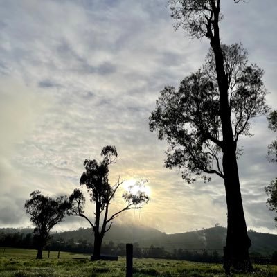 r_norris2's profile picture. mother, partner, teacher, librarian, friend, daughter, sister, survivor