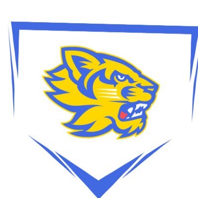 Official Twitter account of Sweetwater High School (TN) baseball and softball. 3 🥎 State Tournament appearances (2000, ‘17, ‘18)