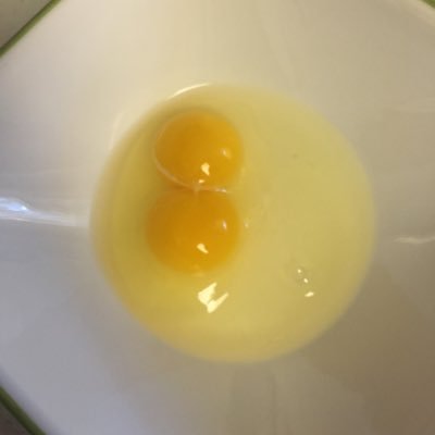 ihateeggs6's profile picture. BLACK LIVES STILL MATTER she/her smalltwt