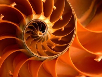 tsenghanwen's profile picture. 中国书画与数字艺术爱好者