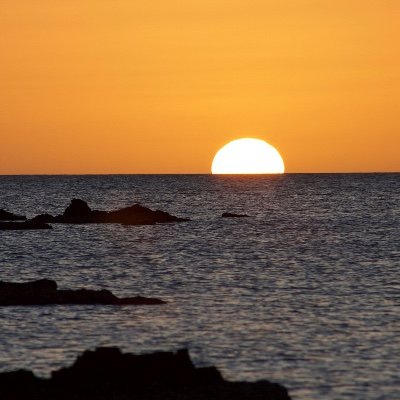 marcelo_pena's profile picture. 