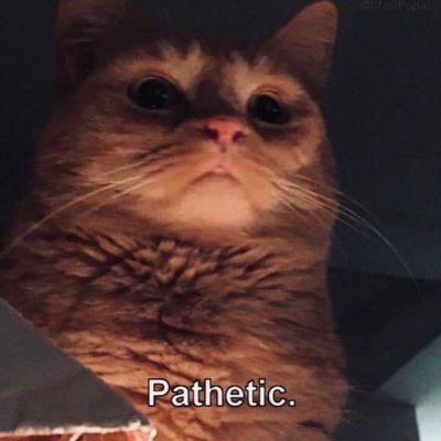 Ch3rl0's profile picture. BIO ?!