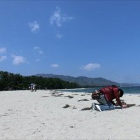 mohi (@slow_jin) Twitter profile photo