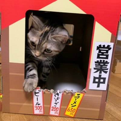 pck9FNVaPxC0Yk5's profile picture. 宜しくお願いしますm (=^-ω-^=)m いいね RT フォローありがとうございます (=´∇｀=) 無言フォロー失礼しますm(=^--^)m 猫(メイ)飼い主知人