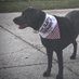 Oakley (@brandie26344221) Twitter profile photo Oakley (@brandie26344221) Twitter profile photo