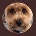 Tina 🤦🏼♀️ (@tina_mtk) Twitter profile photo Tina 🤦🏼♀️ (@tina_mtk) Twitter profile photo