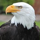 POTUS47 (@uspotus47) 's Twitter Profile