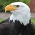 POTUS47 (@uspotus47) Twitter profile photo POTUS47 (@uspotus47) Twitter profile photo