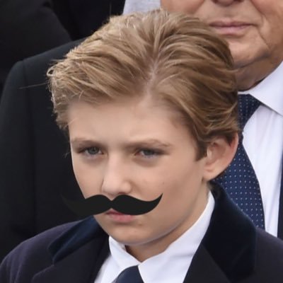 Barron_Barron06's profile picture. Not Barron Trump. Barron William Barron. Aspiring athlete. Scholar. Expert. Anime fan. バロン・バロン.