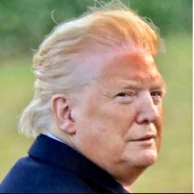 dtrump_thoughts's profile picture. I was POTUS. Incited a coup attempt at the Capitol. Don’t really like my children. Need a new bank loan. Currently unemployed and facing prison.