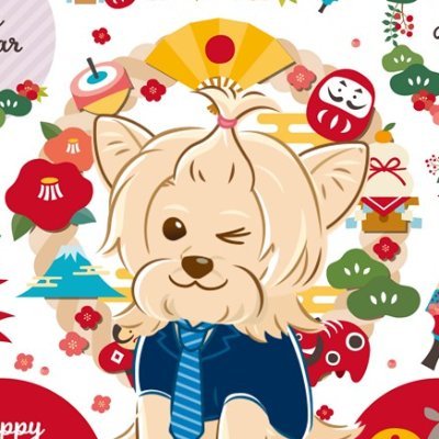 公認会計士たぬ吉/簿記講師✨ Profile