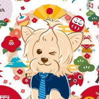 公認会計士たぬ吉/簿記講師✨ (@boki_accounting) 's Twitter Profile Photo 公認会計士たぬ吉/簿記講師✨ (@boki_accounting) 's Twitter Profile Photo