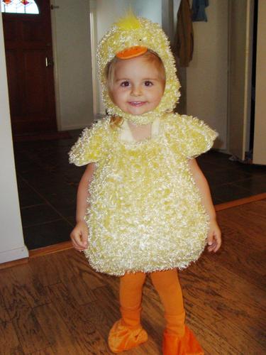 dutchcupcake's profile picture. 