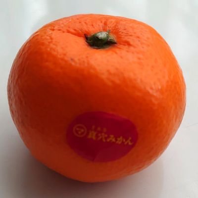 katuragi_n's profile picture. 上手な呟きはできそうにないので、めったに呟きませんが、人物・作品への想いは大きいです。かなり昔に20歳↑、オタク貴腐人。無言でのフォロー、いいね、リツイートをご容赦ください。たまに鍵かけます。