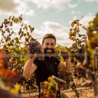 Daniel Arias (@sumillerasesor) 's Twitter Profile Photo