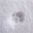 s0rachi's profile image
