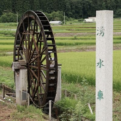 tamamushi777's profile picture. 北海道出身の山形県民です。大好きな日本を後世に託せるよう頑張ります。