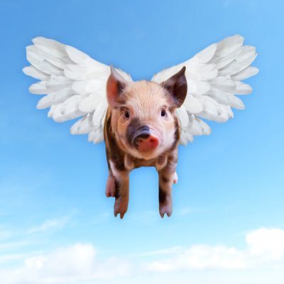 gaku_comp's profile picture. Fラン底辺理工系大学生 読書/英語学習/Python