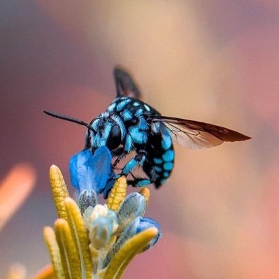 Biodiversity, Ecosystem Services & SDGs...PhD candidate. A photography enthusiast and nature lover.