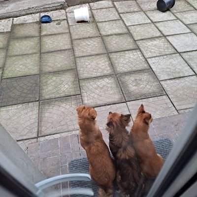 gabi_szecsi's profile picture. 