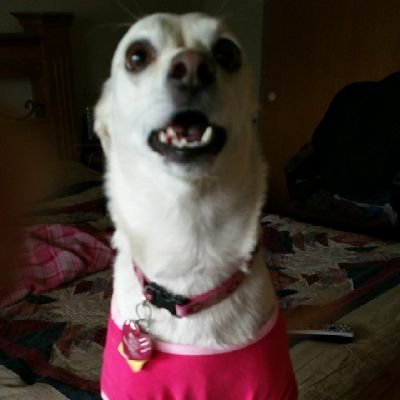 ceb_free's profile picture. 