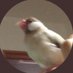 roggy (@roggy_phd) Twitter profile photo roggy (@roggy_phd) Twitter profile photo