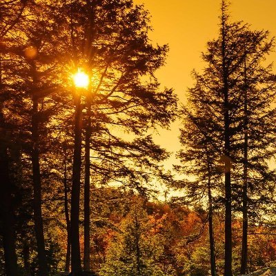 himesh210's profile picture. 'This is my bio and I follow back'