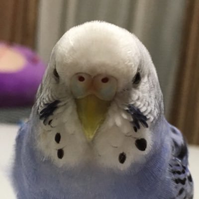 gqdMASlRfc8aqRu's profile picture. 