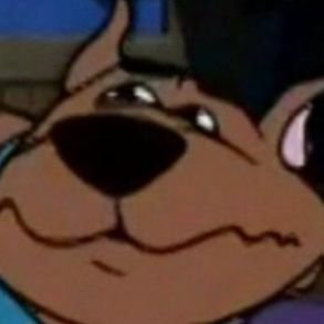 davidjoacaro's profile picture. 