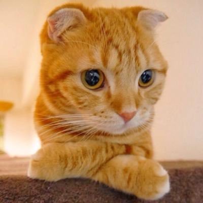 大和 On Twitter 死して不朽の見込みあらばいつでも死ぬべし 生きて大業の見込みあらばいつでも生くべし 吉田松陰