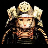 江間小四郎 (@ne3cat) 's Twitter Profile