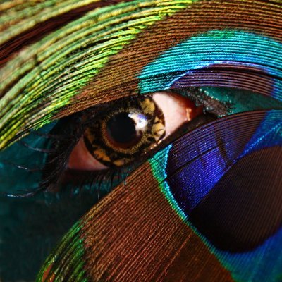 FreshEyes17's profile picture. 🇨🇵 🇺🇸  Chercheuse de soleil au milieu de la nuit