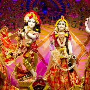 SimranY93920766's profile picture. 