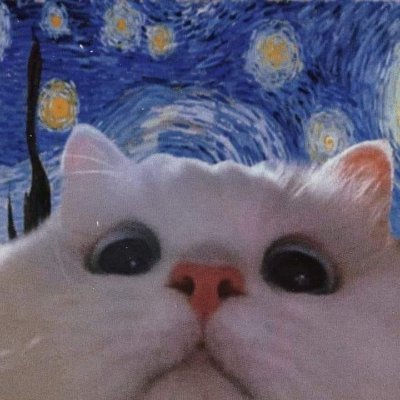 NodexCS's profile picture. 