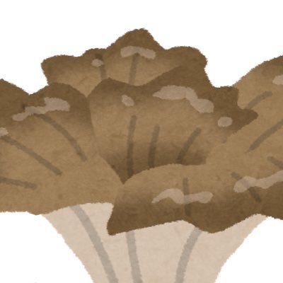 のこのこさんのプロフィール画像