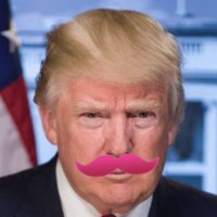 RonaldFrump (@ronaldfrump15) 's Twitter Profile Photo