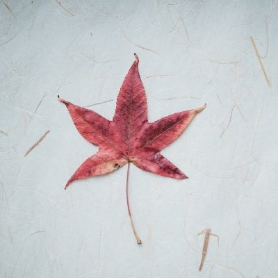 gillgold's profile picture. 只のヲタクですが、それなりに日本を思ってみたりしています。