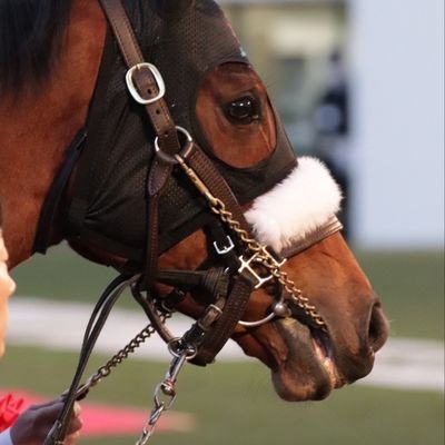 アルゼンチンタンゴを踊り、競馬🐴とか、劇団四季とか、シャンソンが好きー。

#競馬　#劇団四季　#シャンソン　#アルゼンチンタンゴ